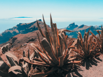 Top 10 des activités à Tenerife